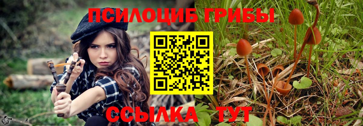 Псилоцибиновые грибы ЛСД Лосино-Петровский