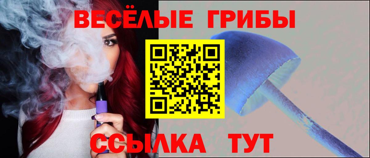 Лосино-Петровский  Галлюциногенные грибы прущие грибы  Псилоцибиновые грибы MAGIC MUSHROOMS  Вход с VPN 