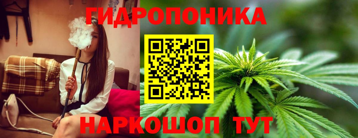 Лосино-Петровский  Бошки Шишки конопля  Марихуана THC 21%  МАРИХУАНА план  Вход с VPN 